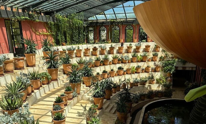 Image 6: Excursión de un día a Denia y los jardines mediterráneos