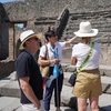 Image 2: Visita guidata privata di Pompei ed Ercolano con biglietti di ingre...
