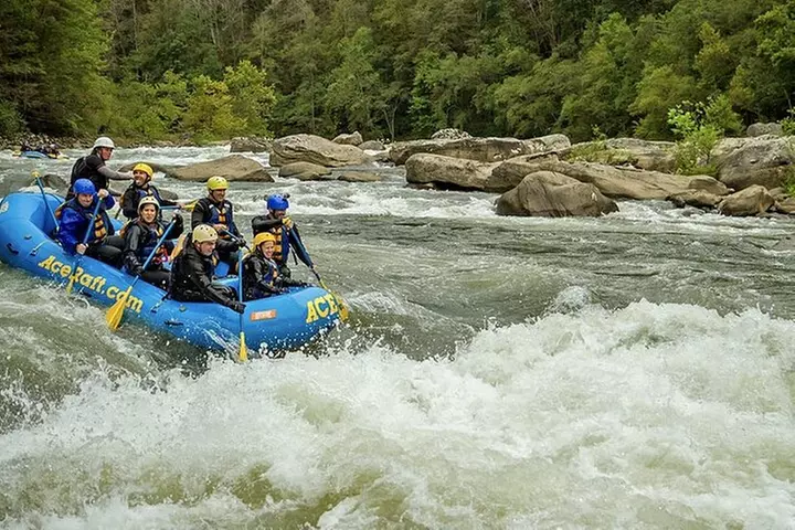 Full Day Fall Lower Gauley Rafting in West Virginia - Second Medium