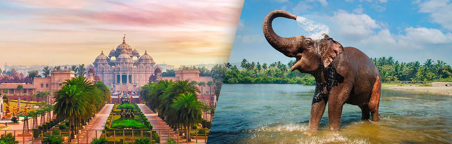 ✈ INDIEN | Von Delhi nach Colombo - Zauberhafte Ausflüge in Indien und Sri Lanka, 12 Nächte - Rundreise - Primary Image