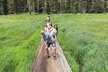 Sequoia National Park Small Group Tour from Three Rivers - Second Medium