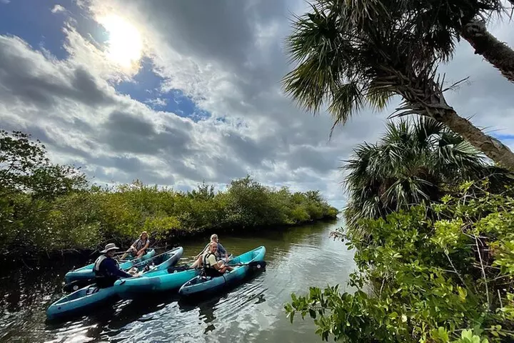 Wildlife Refuge Dolphin, Manatee & Mangrove Kayak or Paddleboarding...