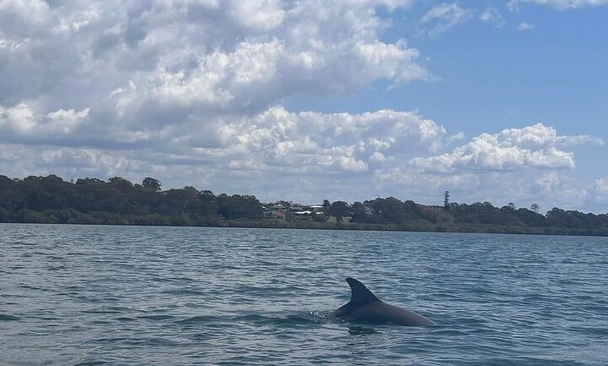 Image 7: Guided Kayak Adventure Tour