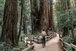 Muir Woods & Sausalito: Small Group Experience - Second Medium