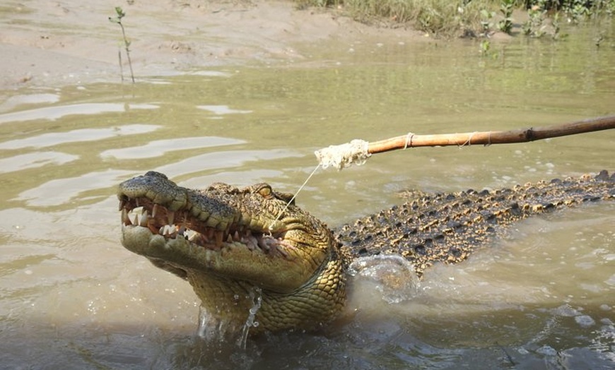 Image 2: Litchfield and Jumping Crocodiles Full Day Trip from Darwin