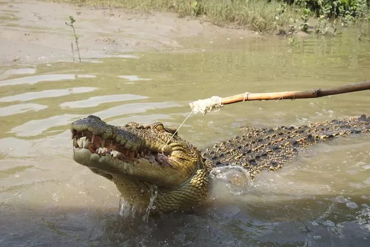 Litchfield and Jumping Crocodiles Full Day Trip from Darwin