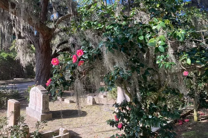 1-Hour Bonaventure Cemetery Golf Cart Guided Tour in Savannah