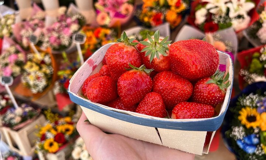 Image 6: Nice Old Town & Local Markets Food Tour avec 9 + dégustations