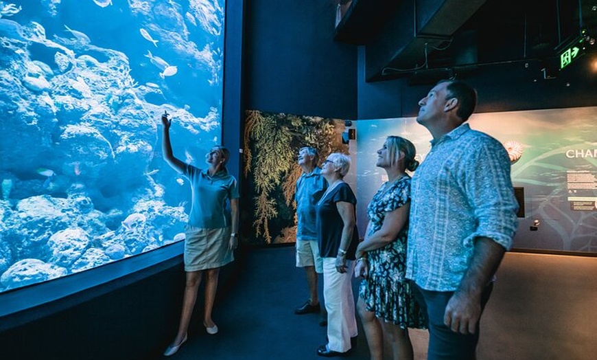 Image 4: Cairns Aquarium by Twilight: Ancient Oceans Tour and 3-Course Dinner