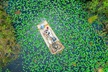 60 min. Everglades Airboat ride & pick-up ,small group +pro guide - Second Medium