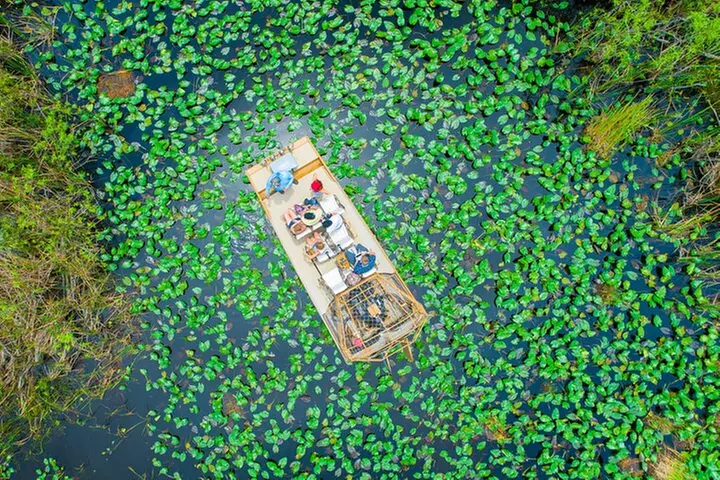 60 min. Everglades Airboat ride & pick-up ,small group +pro guide