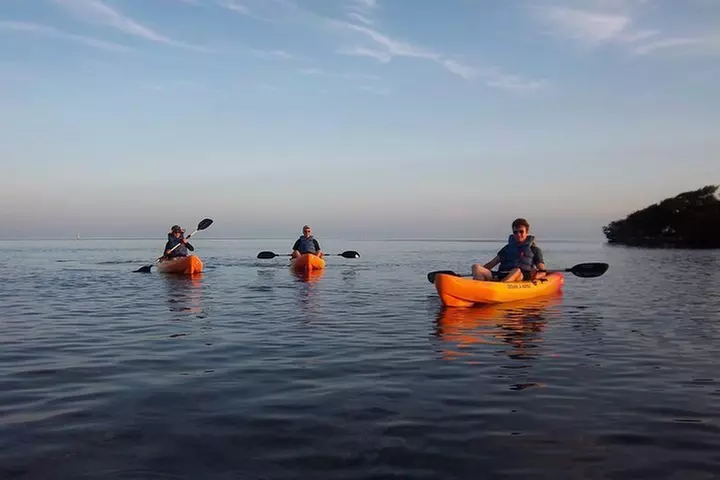 Explore Mangrove Creeks with an All Day SUP/single kayak Rental