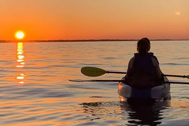 Sunset Kayaking with Dolphins