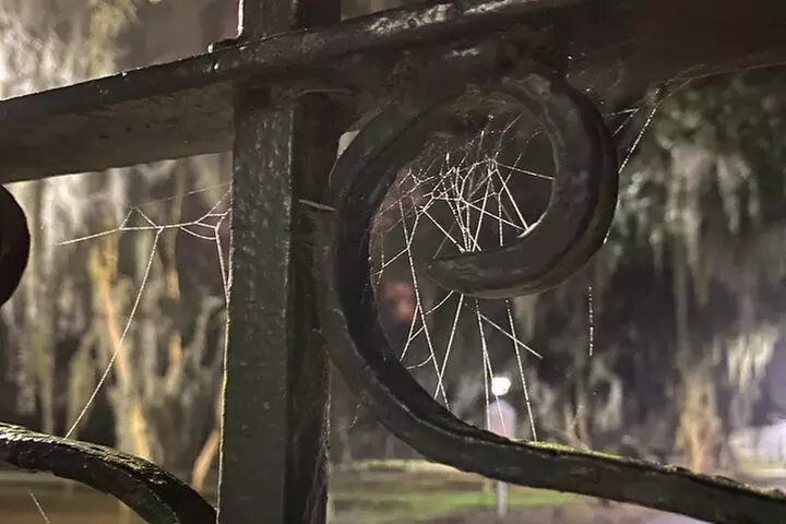 Savannah Ghost Tour for Adults ALL Alcoholic Drinks Included