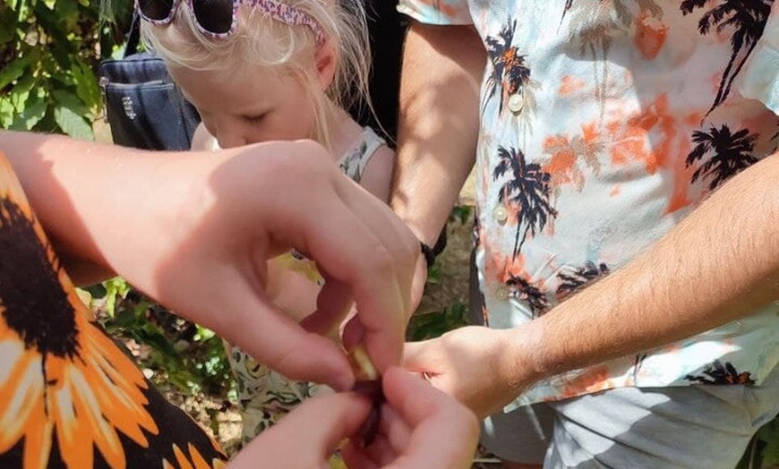 Image 9: Tour Guiado Explora nuestra Finca de Café y Frutas Tropicales