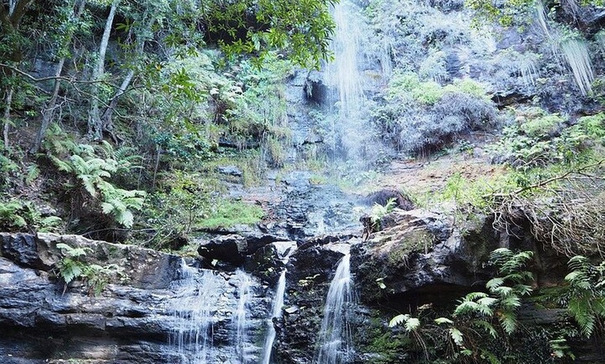 Image 5: Self Guided Electric Bicycle Tour of Bundanoon