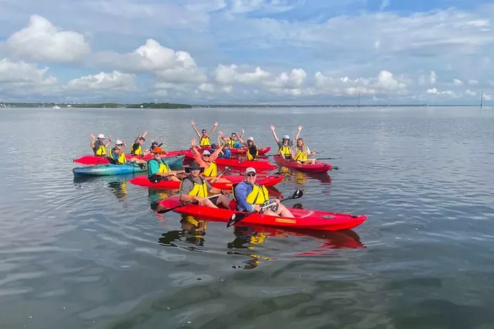 Indian River Clear Bottom Kayak or Paddleboarding Manatee and Dolph...