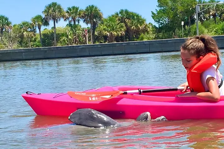 Dolphin & Manatee Kayaking Tour in Orlando Area