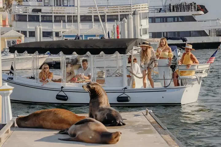Luxury Shared E-Boat Cruise with Wine, Charcuterie & Sea Lions Spot...