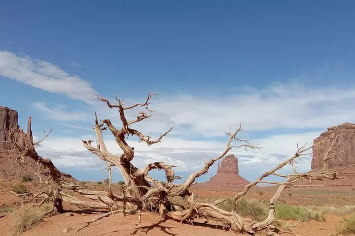 1.5 Hour Jeep Tour in Monument Valley