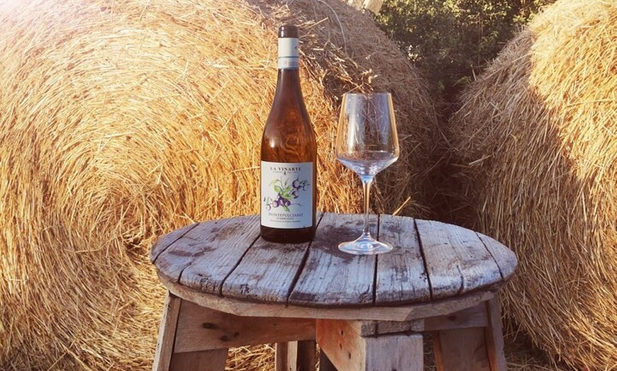 Image 8: Degustazione Vini e Visita Guidata in Vigna e Cantina a S. Maria Im...