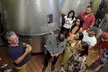 Bolgheri: "CLASSIC" Tour della cantina con degustazione - Image 6
