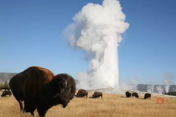 Self-Guided Audio Driving Tour in Yellowstone and Grand Teton