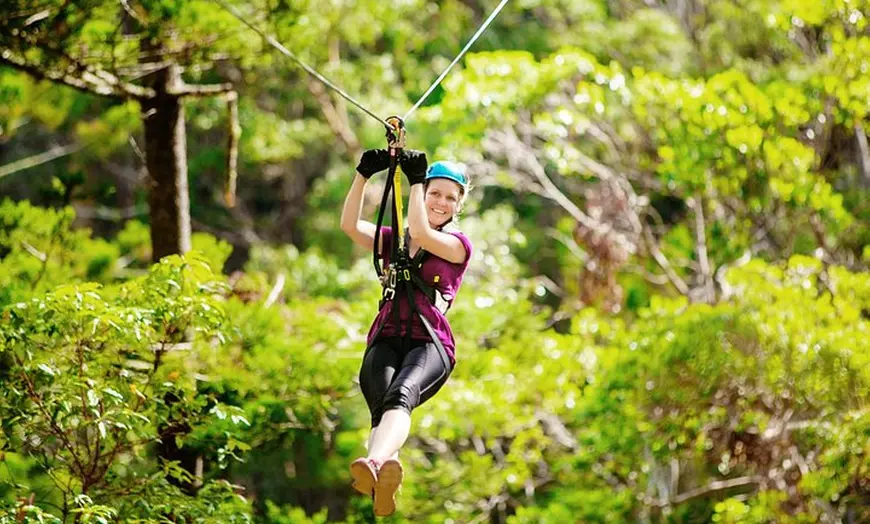Image 1: Gold Coast Canyon Flyer Zipline Tour