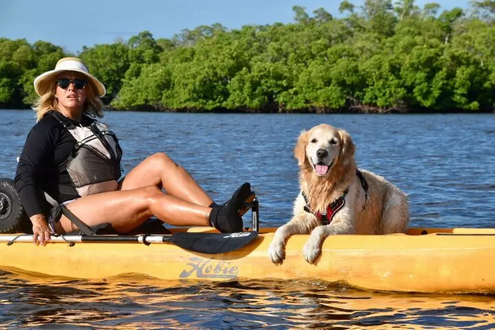 Deluxe Kayak Tour Marco Island and Naples, Florida