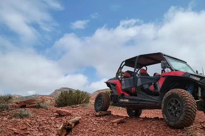 Polaris RZR 4 seater Half-day Rental