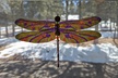 Dragonfly Suncatcher Art Kit in Estes Park - Second Medium