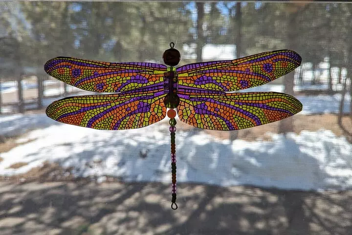Dragonfly Suncatcher Art Kit in Estes Park