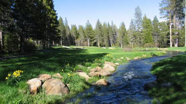 Online Booking - Round of Golf at Tahoe Donner Golf Course - Primary Image