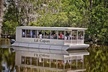 New Orleans Swamp and Bayou Sightseeing Tour with Transportation - Second Medium