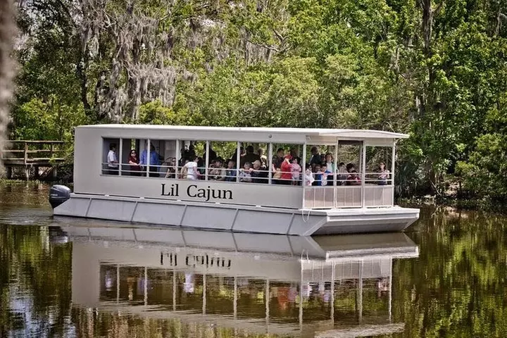 New Orleans Swamp and Bayou Alligator Tour