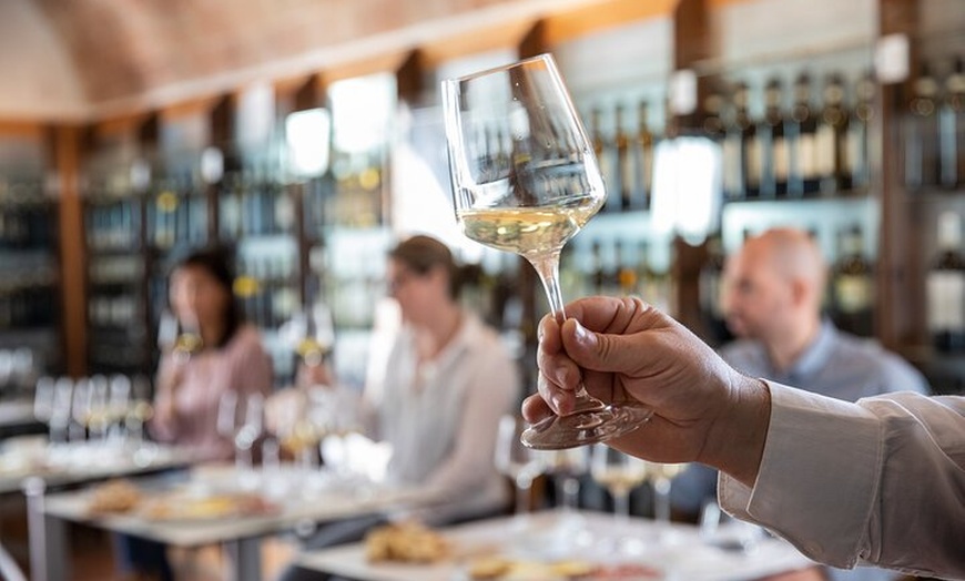 Image 1: Degustazione Superior di Vini a San Gimignano