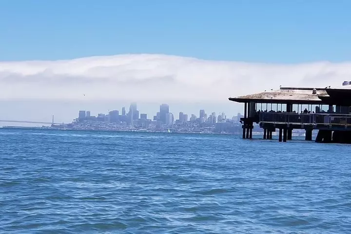 Muir Woods and Sausalito Afternoon Tour Small-Group Half-Day