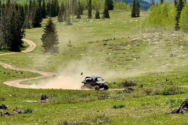 Park City ATV and UTV Rentals (4 Seater RZR) - Primary Image