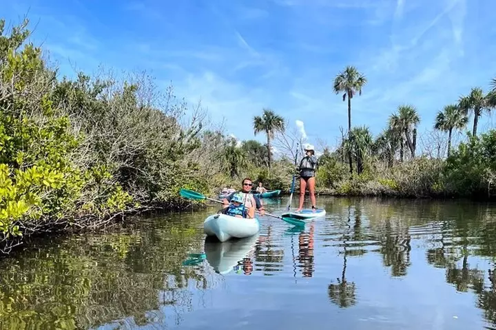 Wildlife Refuge Manatee, Dolphin & Mangrove Kayak or Paddleboarding...