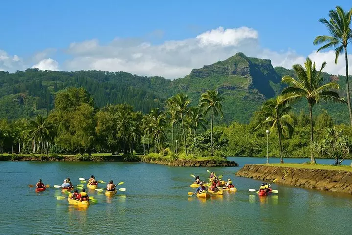 Wailua River & Waterfalls Kayak Tour: Expert-Guided Adventure