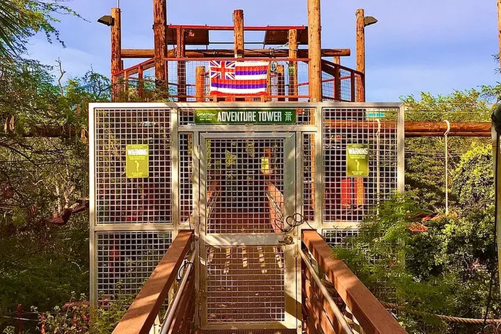 High Ropes Adventure Course at Coral Crater