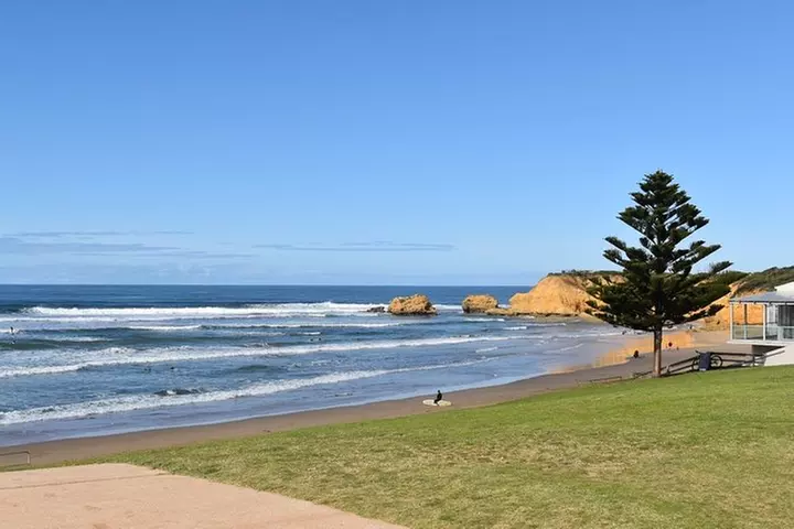 Great Ocean Road Tour Plus Koalas, Forest Walk And Morning Tea.