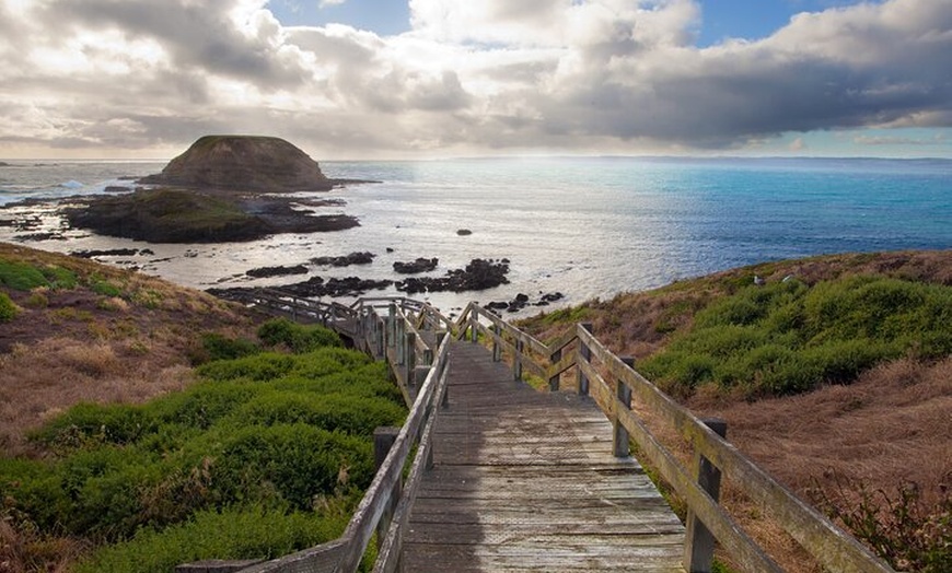 Image 11: Phillip Island Penguin Parade, Wildlife and Beach Boxes Bus Tour