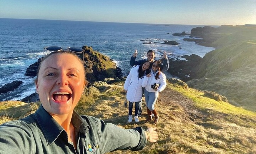 Image 13: Penguin Parade, & Wildlife Encounters Eco Tour from Melbourne