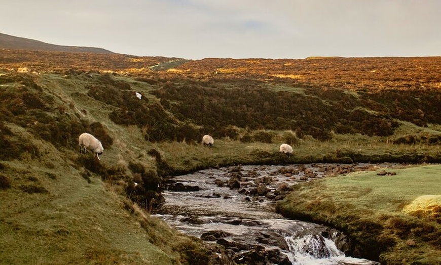 Image 8: Private 3 Day Tour to Skye Loch Ness and Glencoe from Glasgow
