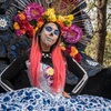 Image 4: The Day of the Dead Private Tour in Mexico City