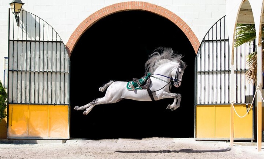 Image 10: Espectáculo de Caballos Andaluces y Flamenco con transporte