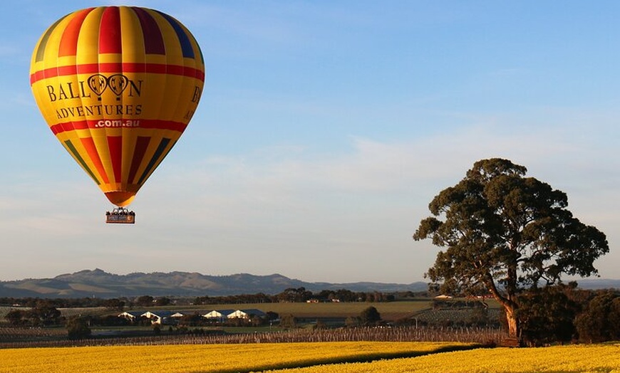 Image 7: Barossa Valley Hot Air Balloon Ride with Breakfast