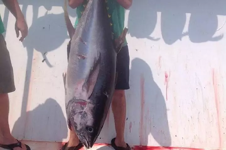 Private Galveston Sightseeing Tour 5-Hr Day Trip