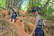 El Yunque Rainforest and Luquillo Kiosk Day Trip - Second Medium